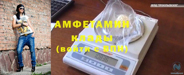 гидропоника Алзамай