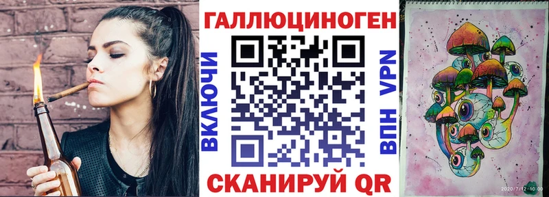 даркнет телеграм  где найти   Сураж  Псилоцибиновые грибы Psilocybe 